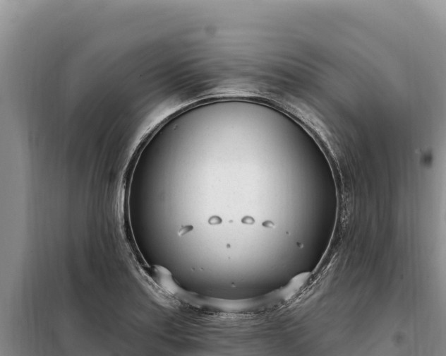 X0000099321179200805091035