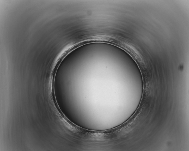 X0000099321180200805091035