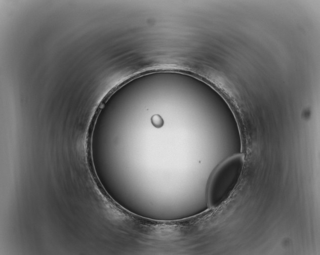 X0000099321181200805091035