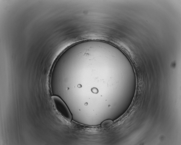 X0000099321182200805091035