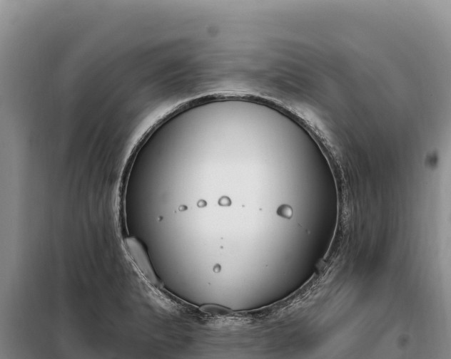 X0000099321183200805091035