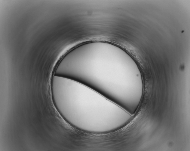 X0000099321184200805091035