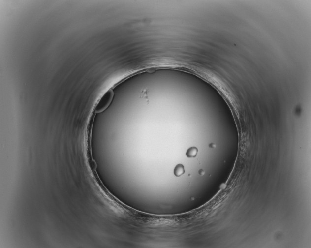 X0000099321187200805091034