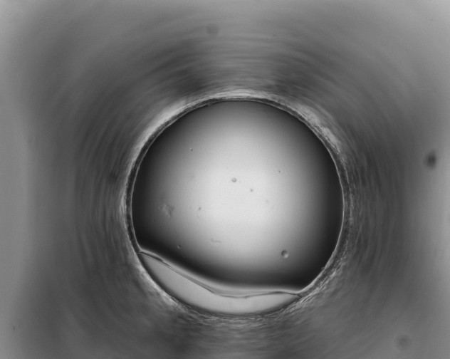 X0000099321189200805091034