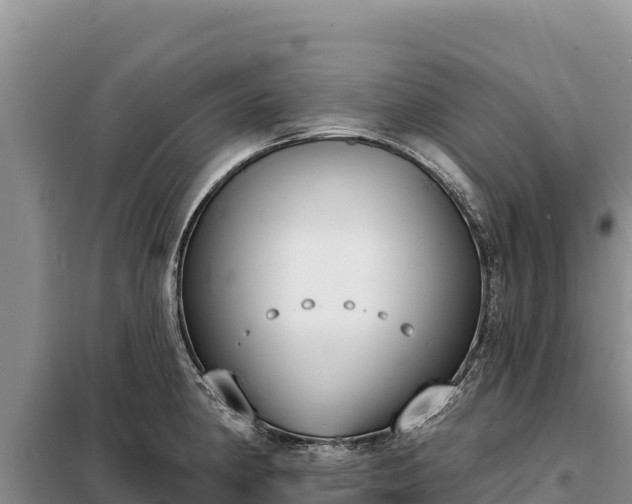 X0000099321190200805091034