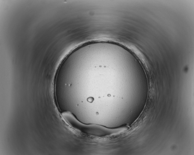 X0000099321191200805091034