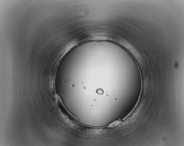 X0000099321193200805091034