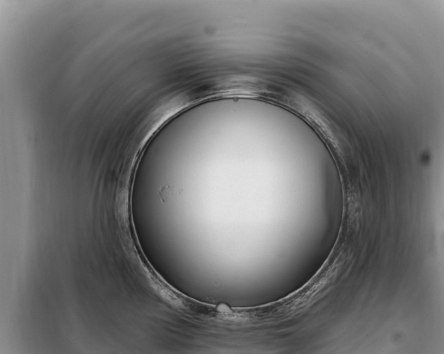 X0000099321194200805091034