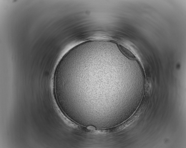 X0000099321195200805091034