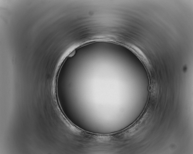 X0000099321196200805091034