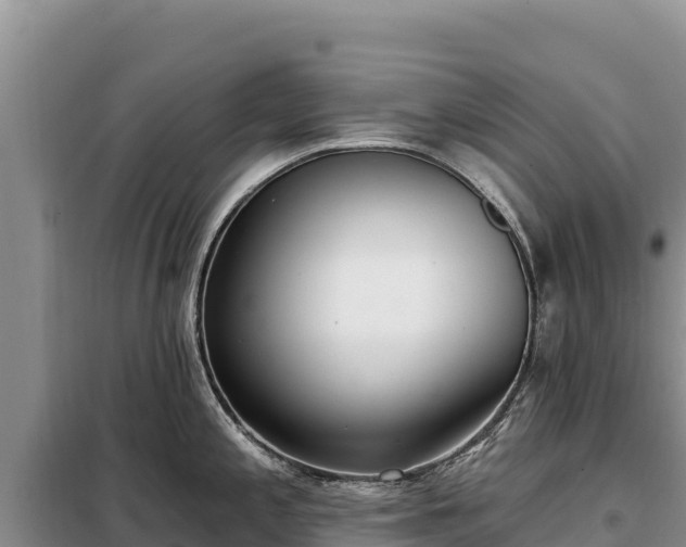 X0000099321197200805091034