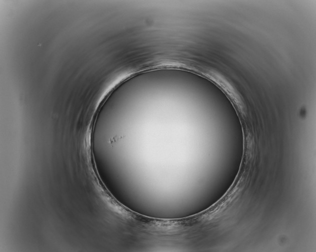 X0000099321198200805091034