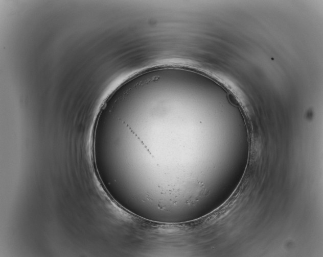 X0000099321199200805091034