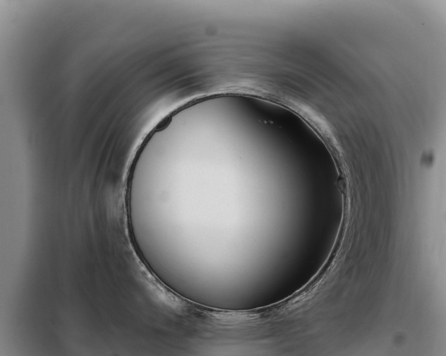 X0000099321200200805091034