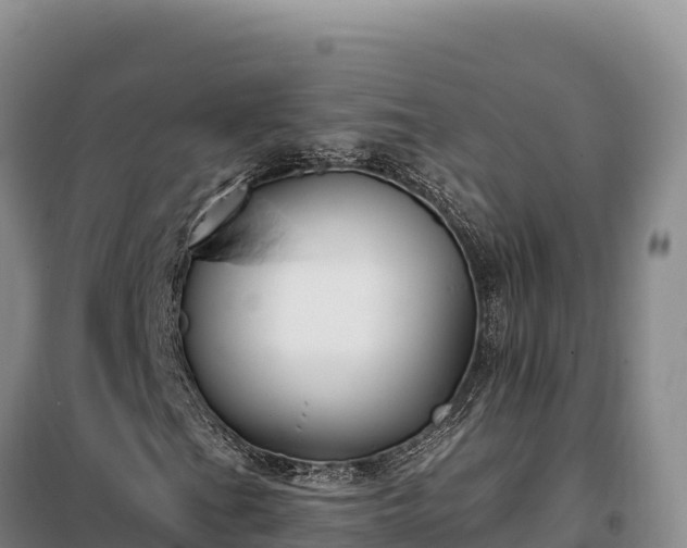 X0000099321201200805091033