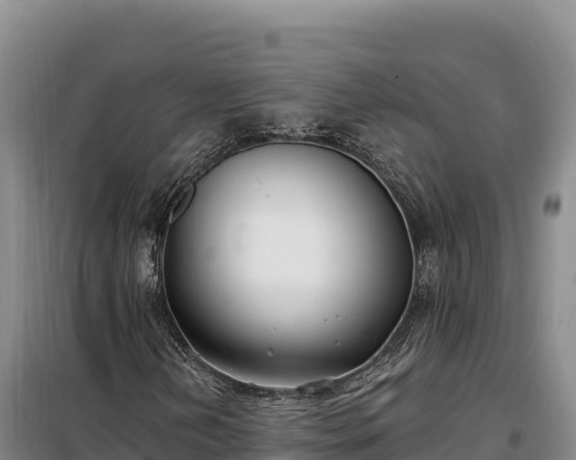 X0000099321202200805091033