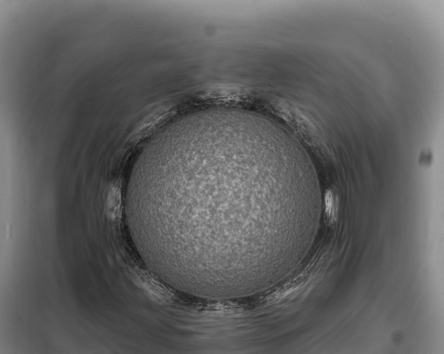 X0000099321203200805091033