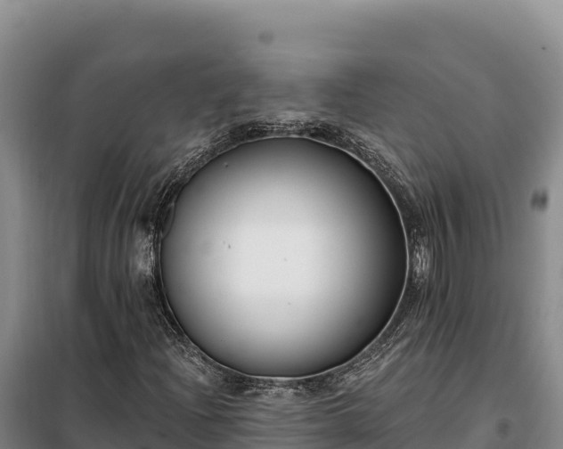 X0000099321204200805091033