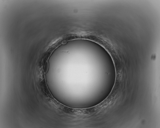 X0000099321205200805091033