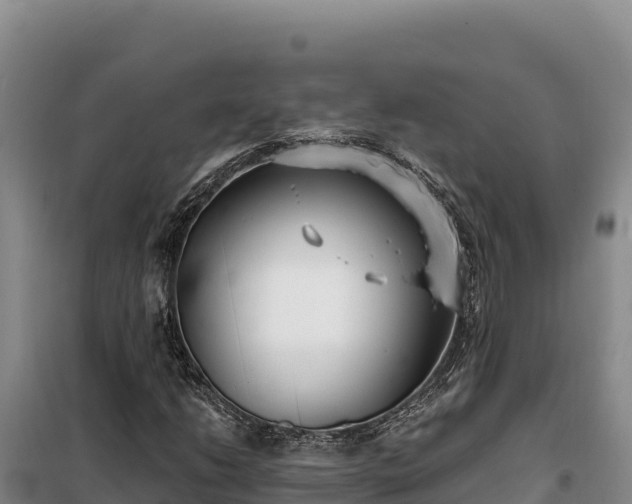 X0000099321206200805091033