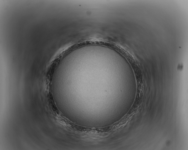 X0000099321207200805091033