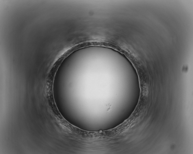 X0000099321208200805091033