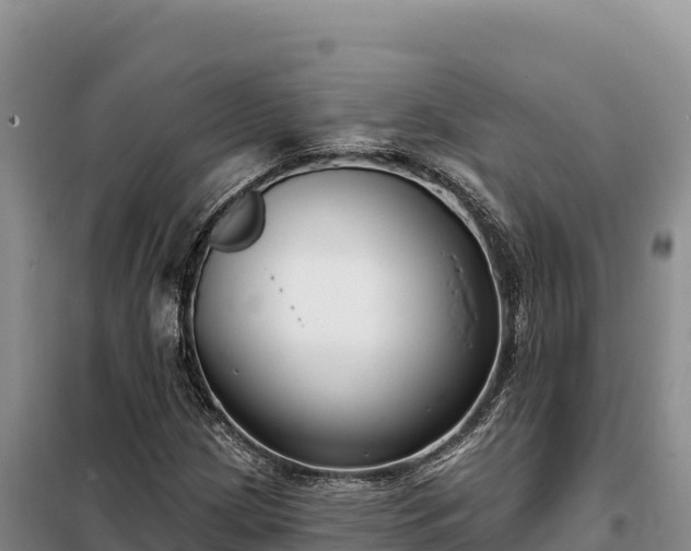 X0000099321209200805091034