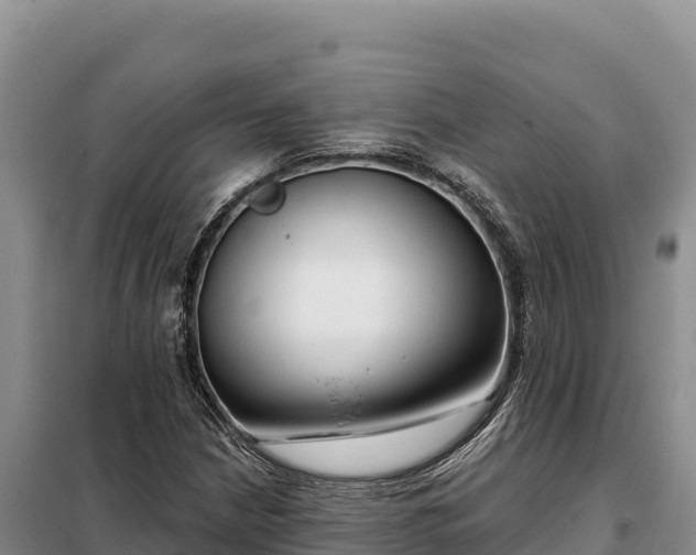 X0000099321210200805091034