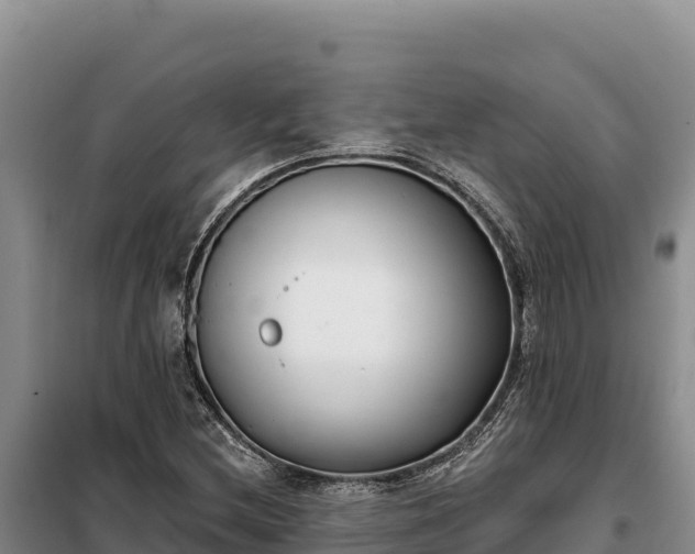 X0000099321212200805091034