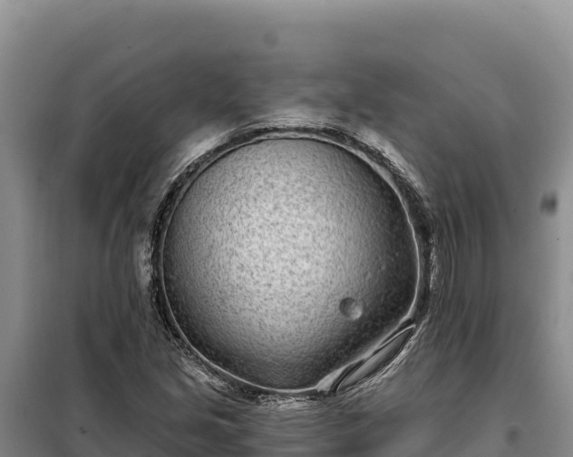 X0000099321213200805091034