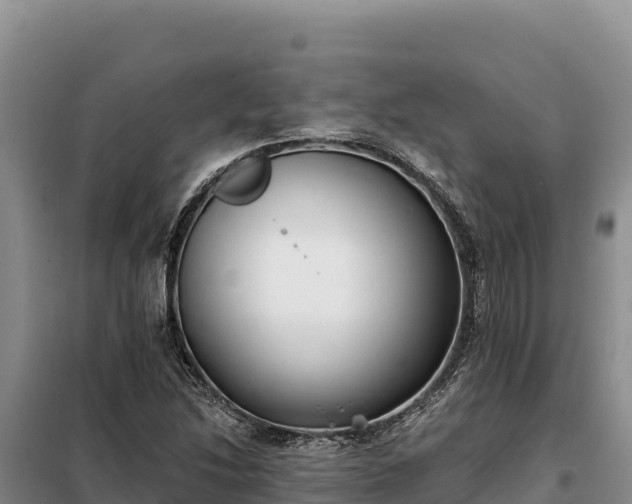 X0000099321214200805091034