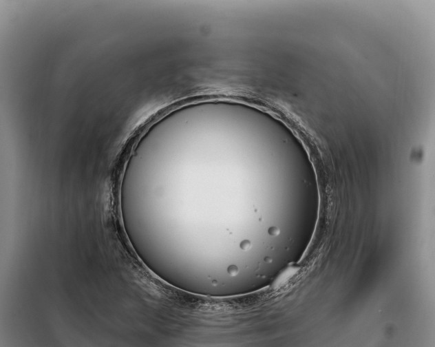 X0000099321215200805091034