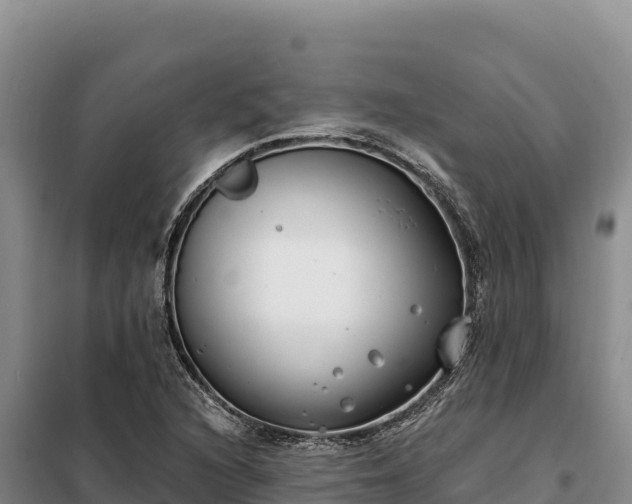 X0000099321216200805091034