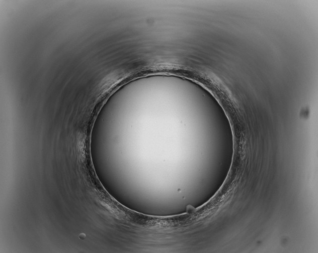 X0000099321217200805091034