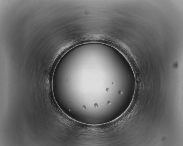 X0000099321218200805091034