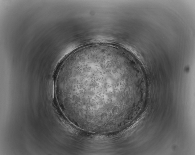 X0000099321219200805091034