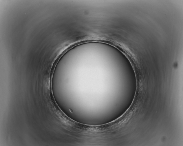 X0000099321220200805091034