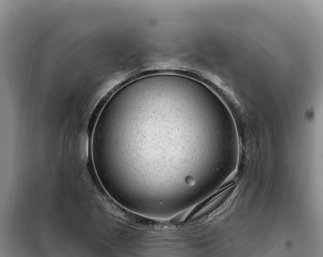 X0000099321221200805091034