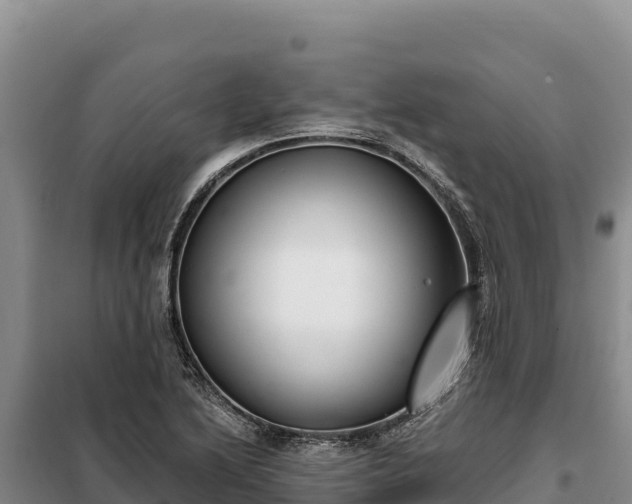 X0000099321222200805091034