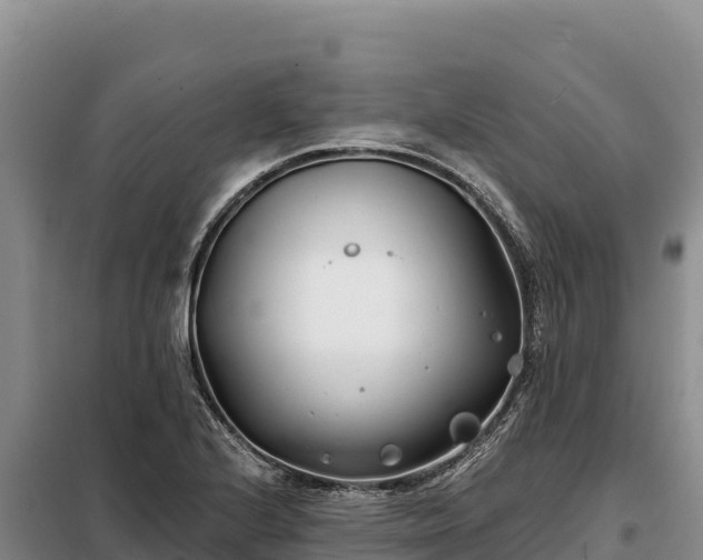 X0000099321224200805091034