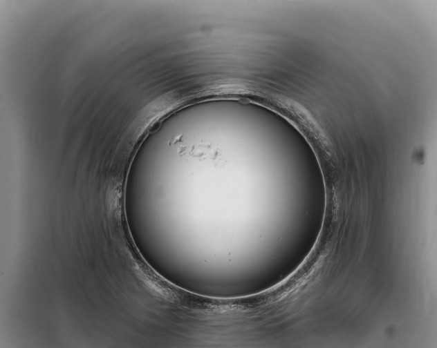 X0000099321225200805091034