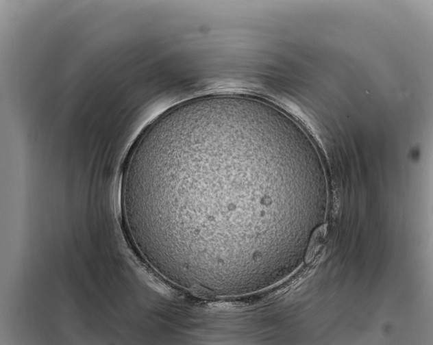 X0000099321227200805091034