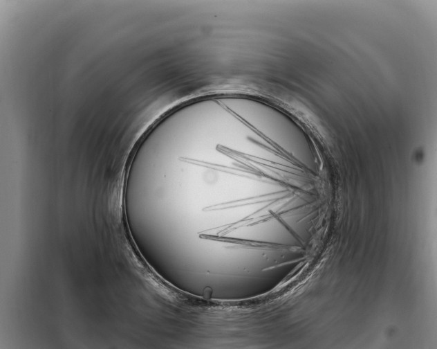 X0000099321228200805091034