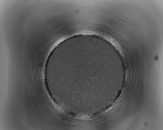 X0000099321229200805091034