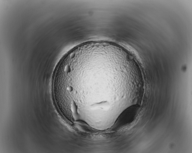 X0000099321231200805091034