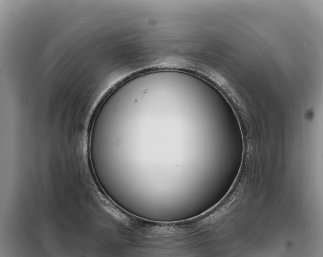 X0000099321232200805091034