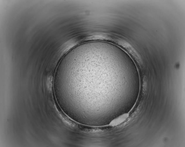 X0000099321233200805091034