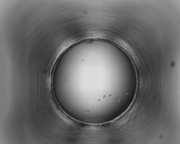 X0000099321234200805091034