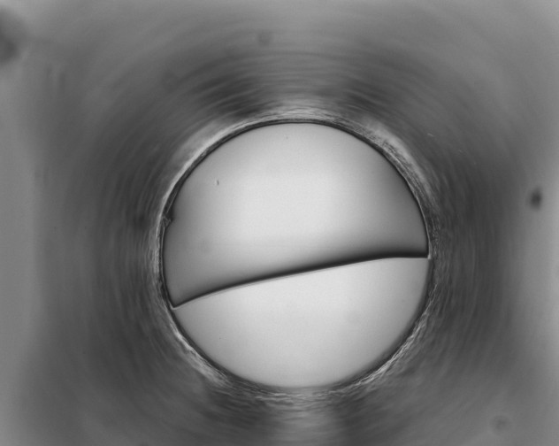 X0000099321236200805091034