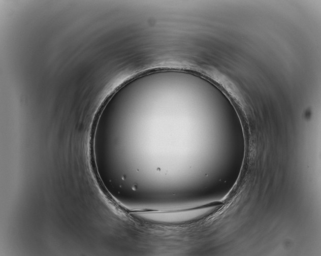 X0000099321237200805091034